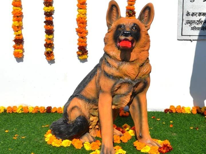Super K9 female dog ASP Tinki statue inaugurated in Muzaffaranagar ASP 'टिंकी' ला मुझ्झफ्फरनगर पोलिसांची अनोखी श्रद्धांजली, 49 गुन्ह्यांचा लावला होता तपास