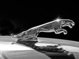 Jaguar: जाग्वार 2025 पासून पूर्णपणे इलेक्ट्रीक कार निर्मिती करणार
