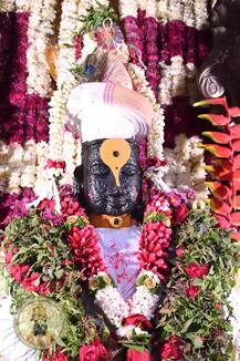 Photo : विठ्ठल व रूक्मिणीमातेच्या विवाह सोहळ्या निमित्तानं आकर्षक फुलांनी सजले विठ्ठल मंदिर!