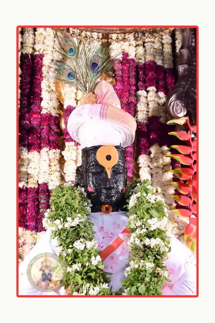 पावणे अकरा वाजता देवाला पंचपक्वानाचा महानैवेद्य दाखवला, साडे अकरा वाजता विठ्ठल रुक्मिणी या वधू वर यांना विवाहाचा पोशाख परिधान. (छाया सौजन्य :  facebook @VitthalRukminiTodayDarshan)