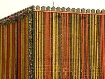 Chhatrapati Shivaji Maharaj Jayanti 2021 : छत्रपती शिवरायांना मानाचा मुजरा, ठिकठिकाणी जयंतीचा उत्साह