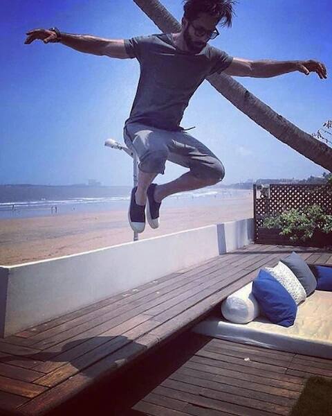 शाहिद कपूरचा आगामी चित्रपट जर्सी आहे. यापूर्वी शाहिद कपूर अखेर कबीर सिंह चित्रपटात दिसला होता. या चित्रपटाने बॉक्स ऑफिसवर चांगली कमाई केली होती.