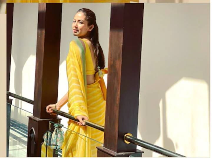 मीराच्या फोटोशूटचे काही फोटो मीराने आपल्या इन्स्टाग्रामवर शेअर केले आहेत.