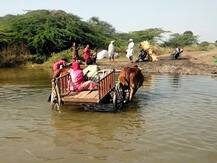 शेतकरी कुटुंब बैलगाडीसह पाण्यात कोसळले, प्रसंगावधानामुळे वाचले सहा जणांचे प्राण, परभणीतील घटना