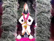 In Pics : अंगारकी चतुर्थीनिमित्त विठ्ठल रुक्मिणीच्या गाभाऱ्यात दुर्वा व गुलाब फुलांची आकर्षक सजावट!