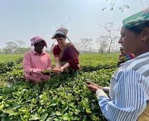 In Pics :   प्रियंका गांधींना 'चहाचा मळा' सत्तेपर्यंत पोहचवणार का?