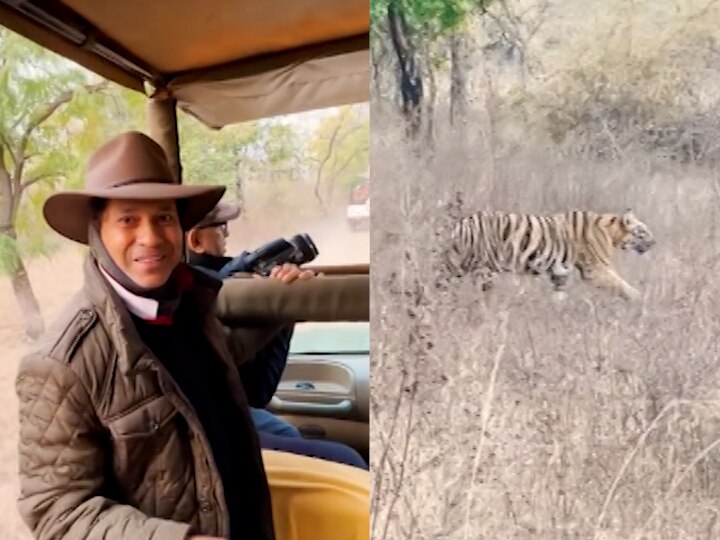 master blaster sachin tendulkar shares video of Tadoba Andhari Tiger Project, सचिनने शेअर केला ताडोबाचा व्हिडीओ