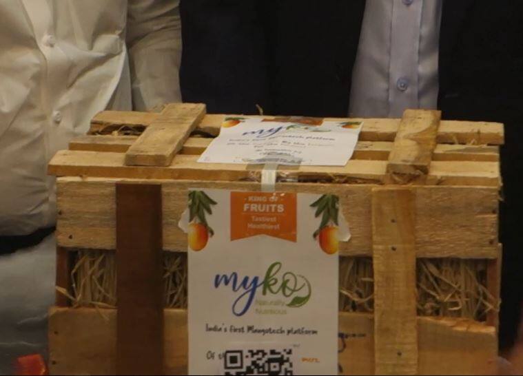 Record price for Konkan hapus,1 lakh 8 thousand for a box of 5 dozen कोकणच्या हापूसला विक्रमी भाव; 5 डझनच्या पेटीची 1 लाख 8 हजारांना विक्री