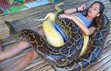 ਇਸ ਪਿੰਡ ਵਿੱਚ ਸੱਪ ਨਾਲ ਲੜਕੀ ਨੇ ਕੀਤਾ ਵਿਆਹ, ਦੇਖਣ ਆਏ 50000 ਲੋਕ