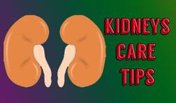 Kidney Toxins: ਕਿਡਨੀ ‘ਚੋਂ ਜ਼ਹਿਰੀਲੇ ਪਦਾਰਥਾਂ ਨੂੰ ਕੱਢਣ ਦੇ ਘਰੇਲੂ ਨੁਖ਼ਸੇ