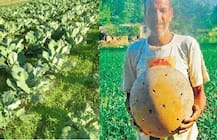 ਅਜਿਹਾ ਜੁਗਾੜ ਬਣਾਇਆ ਕਿ ਬਿਨਾ ਖਰਚੇ ਤੋਂ ਸਾਰੇ ਖੇਤ 'ਚੋਂ ਸਿਉਂਕ ਗਾਇਬ