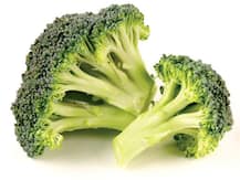 Monsoon Healthy Recipes: বর্ষায় খান স্বাস্থ্যকর ব্রকোলি স্যুপ, জেনে নিন বানানোর সহজ পদ্ধতি