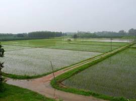 Monsoon In Punjab ਮਾਨਸੂਨ ਨੇ ਕੀਤਾ ਵਿਤਕਰਾ, ਰੋਪੜ 'ਤੇ ਨਿਹਾਲ, ਫਿਰੋਜ਼ਪੁਰੀਏ ਸੁੱਕੇ  