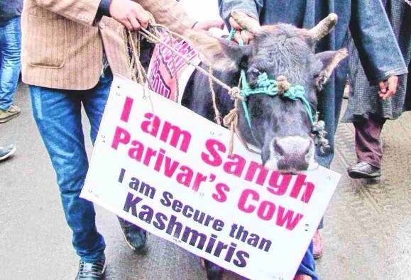 Gau rakhya ਗਊ ਰਾਖਿਆ ਦੀ ਇੰਨੀ ਦਹਿਸ਼ਤ! ਹੈਰਾਨ ਕਰ ਦੇਣ ਵਾਲਾ ਸੱਚ ਆਇਆ ਸਾਹਮਣੇ