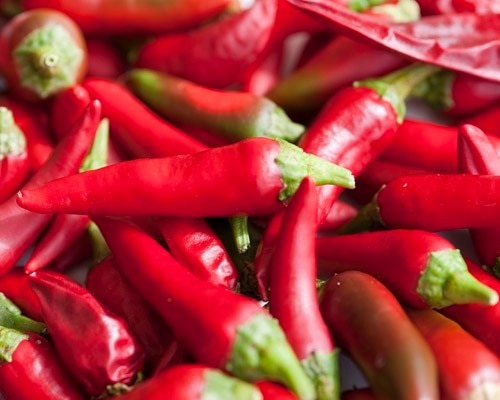 Agriculture News Increase in price of red Chili decrease in arrival Agriculture News : यंदा मिरची 'भाव' खाणार, आवक घटल्यानं दरात वाढ; अवकाळी पावसाचा मोठा फटका 