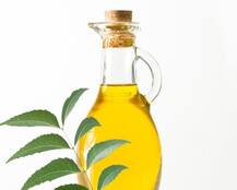 ਗੁਣਾਂ ਨਾਲ ਭਰਪੂਰ ਹੈ ਨਿੰਮ ਦਾ ਤੇਲ, ਇਹ ਨੇ ਫਾਇਦੇ