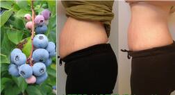 ਇਹ ਫਲ ਮੋਟਾਪੇ ਦੇ ਸੈੱਲ ਨੂੰ ਖੋਰ ਦਿੰਦਾ