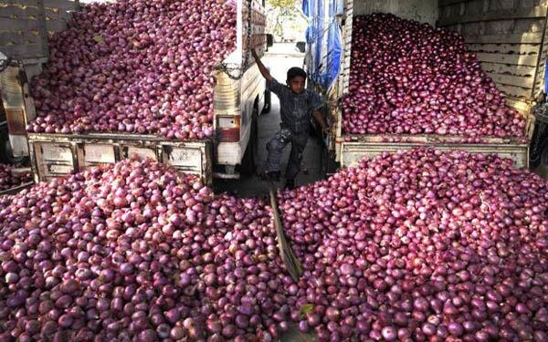 Onion Theft in Bihar After Its Price Soars ਹੁਣ ਸੋਨਾ-ਚਾਂਦੀ ਨਹੀਂ ਸਗੋਂ ਗੰਢਿਆਂ ਦੀ ਚੋਰੀ, ਚੋਰ ਲਏ ਗਏ 328 ਬੋਰੀਆਂ ਪਿਆਜ਼