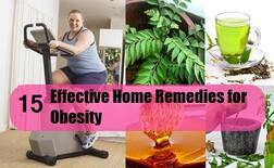 ਮੋਟਾਪੇ ਤੋਂ ਛੁਟਕਾਰਾ ਪਾਉਣ ਦੇ  ਅਸਰਦਾਰ 15 ਘਰੇਲੂ ਨੁਸਖੇ