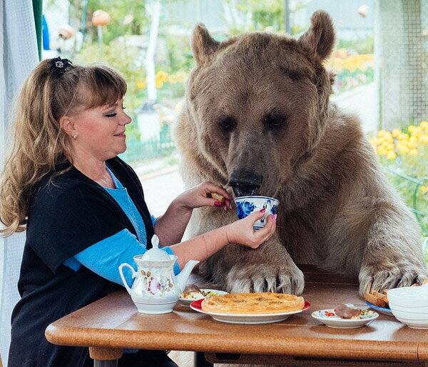 ਜ਼ਿਕਰਯੋਗ ਹੈ ਕਿ ਸਟੀਫਨ ਰੋਜ਼ 25 ਕਿੱਲੋ ਮੱਛੀ ਦੇ ਨਾਲ ਸਬਜ਼ੀਆਂ ਤੇ ਅੰਡੇ ਖਾਂਦਾ ਹੈ।