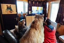 24 ਸਾਲ ਤੋਂ 136 ਕਿੱਲੋ ਦੇ ਭਾਲੂ ਨਾਲ ਰਹਿ ਰਿਹਾ ਇਹ ਜੋੜਾ