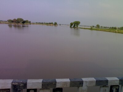 bank of river ghaggar broken, thousands of acres of crops damaged ਘੱਗਰ ਦਰਿਆ 'ਚ ਪਿਆ ਪਾੜ, ਹਜ਼ਾਰਾਂ ਏਕੜ ਫਸਲ ਤਬਾਹ