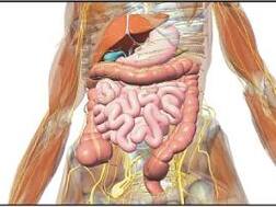 ਭੋਜਨ ਨਹੀਂ ਪਚਦਾ ਤਾਂ ਫਿਕਰ ਨਾ ਕਰੋ, ਅਜ਼ਮਾਓ ਇਹ ਨੁਸਖੇ