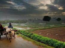 ਪੰਜਾਬ 'ਚ ਮਾਨਸੂਨ ਦੀ ਝੜੀ ਦਾ ਹਾਲ