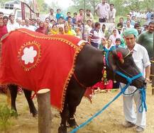ਔਡੀ ਤੋਂ ਵੀ ਮਹਿੰਗਾ \'ਰਾਂਝਾ\' 