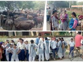 %e0%a8%b8%e0%a8%95%e0%a9%82%e0%a8%b2 %e0%a8%9a %e0%a8%97%e0%a8%be%e0%a8%b5%e0%a8%be%e0%a8%82 %e0%a8%a6%e0%a8%be%e0%a8%96%e0%a8%b2 %e0%a8%b5%e0%a8%bf%e0%a8%a6%e0%a8%bf%e0%a8%86%e0%a8%b0%e0%a8%a5 ਸਕੂਲ 'ਚ ਗਾਵਾਂ ਦਾਖਲ, ਵਿਦਿਆਰਥੀ ਬਾਹਰ