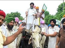 ਗੱਡਿਆਂ \'ਤੇ ਲੱਦ ਕਿਸਾਨਾਂ ਨੇ ਭੇਜੀਆਂ ਦੁਖੜਿਆਂ ਦੀਆਂ ਪੰਡਾਂ