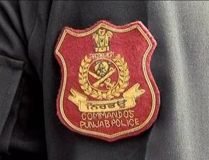 Screen Shot 2016-08-13 at 1-compressed (1)