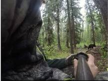 ਬਰਛੇ ਨਾਲ ਇਸ ਵਿਅਕਤੀ ਨੇ ਕੀਤਾ ਸੀ ਭਾਲੂ ਦਾ ਸ਼ਿਕਾਰ..ਉੱਠਿਆ ਵੱਡਾ ਬਵਾਲ