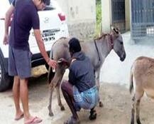 ਬੈਗਲੁਰੂ \'ਚ 50 ਰੁਪਏ ਵਿੱਚ ਵਿਕ ਰਿਹਾ ਹੈ ਗਧੀ ਦਾ ਇੱਕ ਚਮਚ ਦੁੱਧ