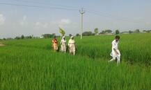 ਕਿਸਾਨ ਰੋਹ ਨੂੰ ਦਬਾਉਣ ਲਈ ਲਾਈ ਸਾਰੀ ਪੁਲਿਸ