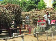 ਗੰਨੇ ਦਾ ਬਕਾਇਆ ਦੇਣ ਤੋਂ ਪੰਜਾਬ ਸਰਕਾਰ ਮੁੱਕਰੀ