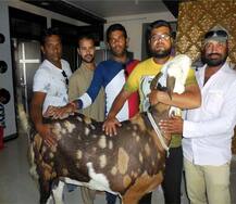 ਰਾਜਸਥਾਨ \'ਚ ਸੁਲਤਾਨ ਦੀ ਬੱਲੇ ਬੱਲੇ 
