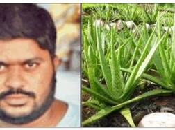 ਸਰਕਾਰੀ ਨੌਕਰੀ ਛੱਡ ਕੇ ਸ਼ੁਰੂ ਕੀਤੀ ਖੇਤੀ; ਅਲੋਵੇਰਾ ਦੀ ਪੈਦਾਵਾਰ ਨੇ ਬਣਾਇਆ ਕਰੋੜਪਤੀ