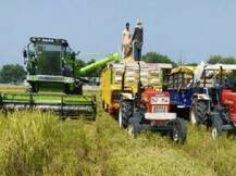 ਤਿੰਨ ਫਸਲਾਂ ਲੈਣ ਵਾਲੇ ਕਿਸਾਨਾਂ ਨੇ ਸ਼ੁਰੂ ਕੀਤਾ ਅਗੇਤੇ ਝੋਨੇ ਦੀ ਕਟਾਈ