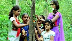 ਬੇਟੀ ਦੇ ਜਨਮ 'ਤੇ ਰੁੱਖ ਲਾਉਂਦੇ ਨੇ ਇਸ ਪਿੰਡ ਦੇ ਲੋਕ