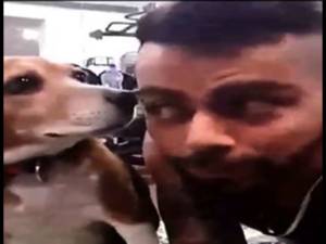 ਵਿਰਾਟ ਨਾਲ ਬਰੂਨੋ ਨੂੰ ਵੀ ਫਿਟਨੈਸ ਦਾ ਫਿਕਰ