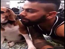 ਵਿਰਾਟ ਦੇ ਪਿੱਛੇ ਜਿਮ ਪਹੁੰਚਿਆ ਬਰੂਨੋ 