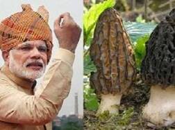 ਖੁੱਲ੍ਹ ਗਿਆ ਮੋਦੀ ਦੀ ਸਿਹਤ ਦਾ ਰਾਜ਼...