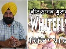 ਮੰਗਲ ਸੰਧੂ ਦੇ ਗ੍ਰਿਫ਼ਤਾਰੀ ਵਾਰੰਟ ਜਾਰੀ