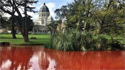 ਇਸ 'ਚ ਘੁੰਮਣ ਗਏ ਲੋਕਾਂ ਨੇ ਕਿਹਾ ਕਿ ਉਨ੍ਹਾਂ ਸਵੇਰੇ ਜਦ ਇਸ ਨੂੰ ਦੇਖਿਆ ਤਾਂ ਇੱਕ ਚਮਤਕਾਰ ਵਾਂਗ ਹੀ ਲੱਗਾ। ਲੋਕ ਆਪਣੇ-ਆਪਣੇ ਅੰਦਾਜ਼ੇ ਲਗਾਉਣ ਲੱਗੇ ਅਤੇ ਕੁੱਝ ਲੋਕਾਂ ਨੇ ਸੋਸ਼ਲ ਮੀਡੀਆ 'ਤੇ ਇਸ ਦੀਆਂ ਤਸਵੀਰਾਂ ਵੀ ਸਾਂਝੀਆਂ ਕੀਤੀਆਂ। ਡੈਨਹਮ ਸੈਡਲਰ ਨਾਂ ਦੇ ਵਿਅਕਤੀ ਨੇ ਕਿਹਾ ਕਿ ਝੀਲ ਦੇ ਪਾਣੀ ਦਾ ਰੰਗ ਗੂੜ੍ਹਾ ਲਾਲ ਹੋ ਗਿਆ ਹੈ। 