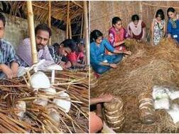 Mashroom Farming: ਜਾਣੋ ਪਰਾਲੀ ਵਾਲੀ ਖੁੰਬ ਦੀ ਖੇਤੀ ਬਾਰੇ