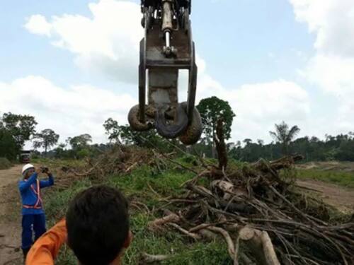 ਉਸ ਸਮੇਂ ਸਾਈਟ 'ਤੇ 400 ਕਿਲੋਗ੍ਰਾਮ ਦਾ ਸੱਪ ਮਿਲਿਆ, ਜਿਸ ਨੂੰ ਦੇਖ ਕੇ ਨਿਰਮਾਣ ਕਾਰਜ 'ਚ ਲੱਗੇ ਸਾਰੇ ਮਜ਼ਦੂਰ ਹੈਰਾਨ ਹੋ ਗਏ। ਐਨਾਕੌਂਡਾ ਦਾ ਅਕਾਰ ਅਤੇ ਭਾਰ ਇੰਨ੍ਹਾਂ ਸੀ ਕਿ ਇਸ ਨੂੰ ਚੁੱਕਣ ਲਈ ਕ੍ਰੇਨ ਮੰਗਵਾਣੀ ਪਈ।