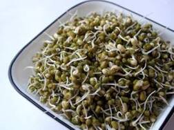 Benefits of eating Sprouts: ਪੁੰਗਰੀ (ਅੰਕੁਰਿਤ) ਦਾਲ ਖਾਣ ਦੇ ਕਮਾਲ ਦੇ ਫਾਇਦੇ