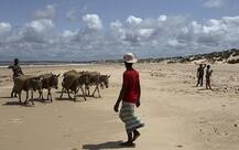 ਚੀਨ ਨੂੰ ਗਧਿਆਂ ਦੇ ਭਾਰੀ ਲੋੜ !