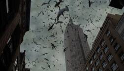 ਇਸ ਦੇਸ਼ 'ਚ ਪੈਂਦਾ ਮੱਛੀਆਂ ਦਾ ਮੀਂਹ!